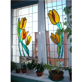 ASLAN CT-113 Transparent Folie