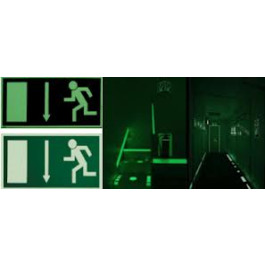 ORALUX 9300 Luminescent